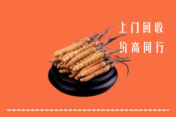 高价求购：海西州回收散虫草