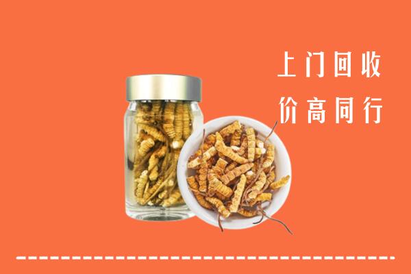 海西州回收冬虫夏草